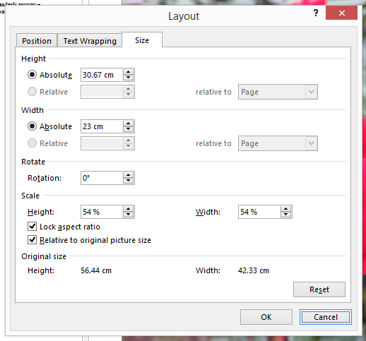 More Layout Options Size tab - allows you to see Original size and change Height, Width, Rotate, Scale